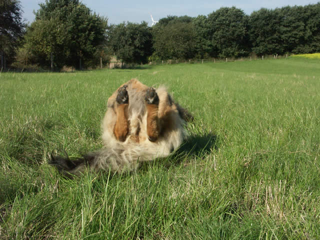 daisy-spaziergang-september.jpg