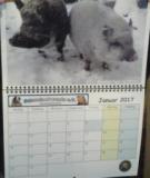 Kalender.jpg