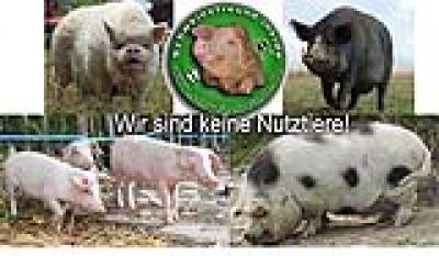 wir-sind-keine-nutztiere2.jpg