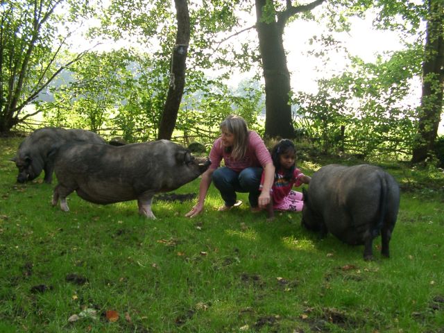 Marion, Aimee und die Steckdosen.jpg