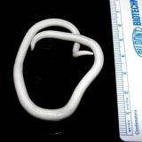 ascarislumbricoides1.jpg