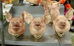 pig-heads.jpg